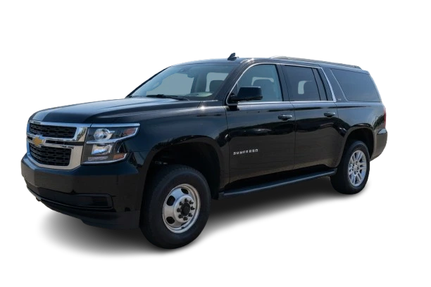 Gemini_Generated_Image_w8tyubw8tyubw8ty-removebg-preview